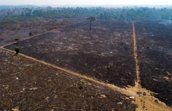 Κλιματική αλλαγή: Τα 2/3 των τροπικών δασών έχουν καταστραφεί ή υποβαθμισθεί παγκοσμίως
