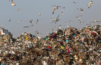 Πόσα πλαστικά σκουπίδια εξάγει η Ευρώπη στην Τουρκία  - Πού καταλήγουν