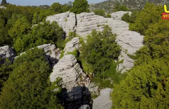 Πέτρινο Δάσος: Το εκπληκτικό και σπάνιο αξιοθέατο της Ηπείρου που λίγοι γνωρίζουν (vid)
