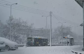 οασα