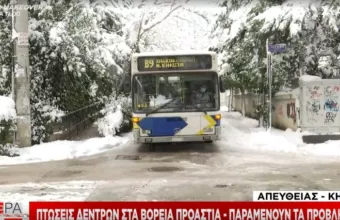 Μήδεια: Πτώσεις δέντρων στα Βόρεια Προάστια - Παραμένουν τα προβλήματα