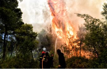 Υπό έλεγχο η φωτιά στην Χίο