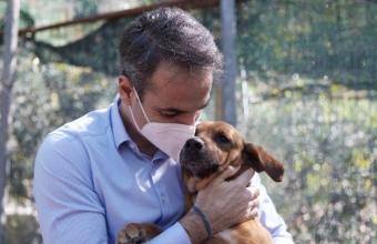 Μητσοτάκης- νομοσχέδιο για ζώα συντροφιάς: Γενναία βήματα στην προστασία των μικρών μας φίλων