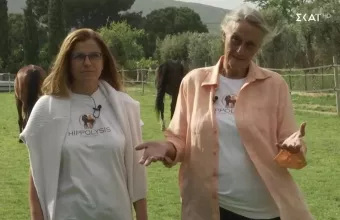 Παρά Τρίχα: Τα άλογα-θεραπευτές της Ιππόλυσις  (vid)