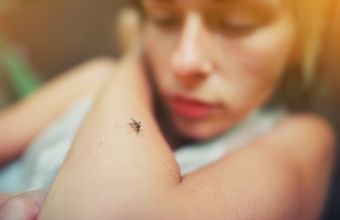 Ποιούς προτιμούν τα κουνούπια - Τι ρόλο παίζουν ομάδα αίματος, δίαιτα, φύλο