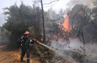 Πυρκαγιά Σχίνο-Δήμαρχος Μεγαρέων: Βρισκόμαστε σε κατάσταση έκτακτης ανάγκης-πολεμικού μετώπου