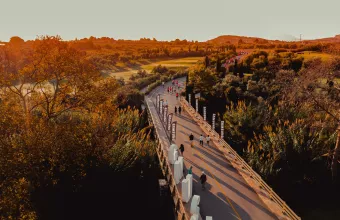 Navarino Challenge 2021: Ανακάλυψε το άθλημα σου