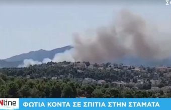 Δήμαρχος Διονύσου σε ΣΚΑΪ 100,3: Ανεξέλεγκτη η φωτιά στη Σταμάτα – Στα πρώτα σπίτια οι φλόγες