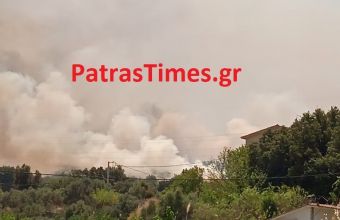 Πάτρα: Οριοθετήθηκε η φωτιά στα Συχαινά – Απειλήθηκαν σπίτια στον Προφήτη Ηλία