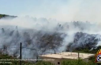 Η πυρκαγιά στο Βαρνάβα από ψηλά - Τι κατέγραψε το drone της Πυροσβεστικής (vid)