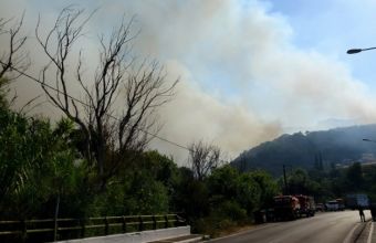 Κολοκούρης: Καλύτερη η εικόνα της πυρκαγιάς στη Σάμο- Διάσπαρτες εστίες φωτιάς