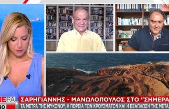 Σαρηγιάννης-Μανωλόπουλος σε ΣΚΑΪ: Επιβράδυνση της αυξητικής πορείας -Κοντά στο 50% ανοσίας