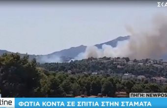 Πυρκαγιά στη Σταμάτα Αττικής κοντά σε σπίτια -Εκκενώθηκε οικισμός