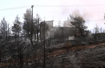 Πυρκαγιές -Αττικη: Πουθενά μέτωπο πλέον, μόνο κάποιες εστίες - «Μυστικές» περιπολίες