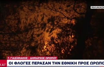 Δήμαρχος Ωρωπού σε ΣΚΑΪ: H Φωτιά πέρασε την Εθνική- Οικισμοί που εκκενώνονται 