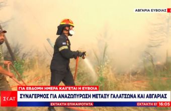 Εύβοια-Πυρκαγιές: Αναζωπύρωση μεταξύ των οικισμών Γαλατσώνα και Αβγαριά