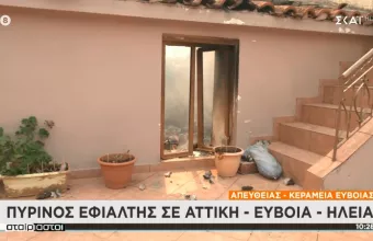 Φωτιά - Εύβοια: Φτάνουν στη θάλασσα οι φλόγες στα Βασιλικά