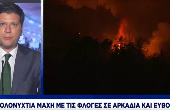 Εύβοια: Ολονύχτια μάχη για να μη περάσει η φωτιά σε Καμάρια, Ιστιαία και Νέα Σινασό