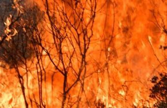 Ο καπνός από τις μεγάλες δασικές πυρκαγιές καταστρέφει το στρώμα του όζοντος στη στρατόσφαιρα, σύμφωνα με επιστήμονες 