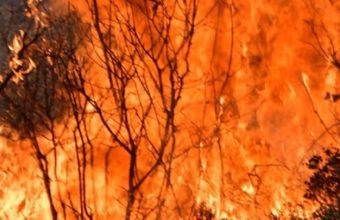 Πολύ υψηλός κίνδυνος πυρκαγιάς και σήμερα σε Εύβοια, Αττική, Ηλεία και άλλες 5 περιφέρειες