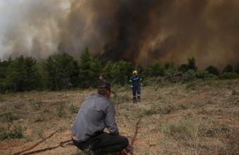 Βόρεια Εύβοια: Σε ύφεση τα μέτωπα της πυρκαγιάς