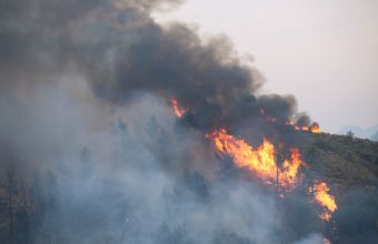 Κόρινθος: Φωτιά στην περιοχή Φανάρια