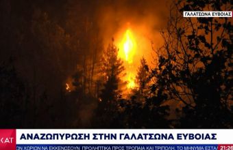 Όγδοη μέρα φωτιάς στην Εύβοια: «Ξεπηδούν» νέες εστίες - Αναζωπύρωση στην Γαλατσώνα 