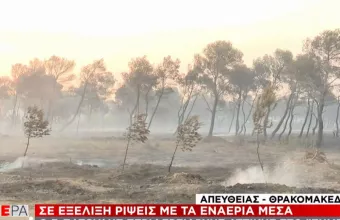 Πατούλης σε ΣΚΑΪ: Υπάρχει σχέδιο πίσω από τις φωτιές -Δεν είναι τυχαίες -Βρέθηκαν γκαζάκια