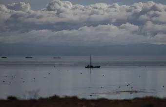 «Όλα βρωμάνε θάνατο»: Στο Περού ο καθαρισμός των ακτών από το πετρέλαιο συνεχίζεται