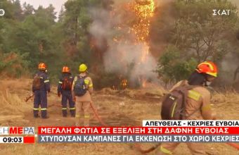 Πυρκαγιές: Εκκένωση 3 χωριών στην Εύβοια - Αρχαία Ολυμπία: Ενεργό μέτωπο στον Κρόνιο Λόφο