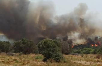 Ρόδος - Πυρκαγιά: Εκκενώνεται η Κοιλάδα των Πετάλούδων - Φωτιά και στο Σουφλί