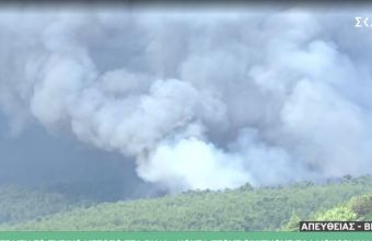 Φωτιά-Βίλια: Ενεργό το μέτωπο μέσα στο δάσος- Έχουν καεί πάνω από 80.000 στρέμματα