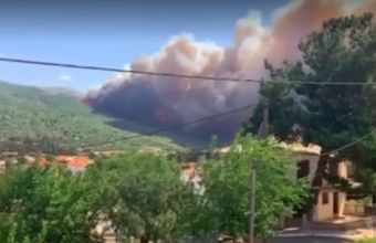 Συναγερμός για νέα πυρκαγιά στα Βίλια (vid)