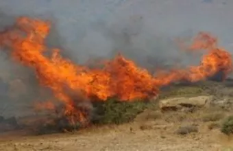 Φωτιά σε δασική έκταση στη Βόνιτσα 