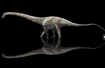 Υπέρσαυρος: Ίσως ο μεγαλύτερος δεινόσαυρος που υπήρξε ποτέ