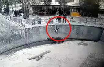 Πέταξε το 3χρονο παιδί της στο κλουβί αρκούδας – Δείτε το βίντεο σοκ από το Ουζμπεκιστάν