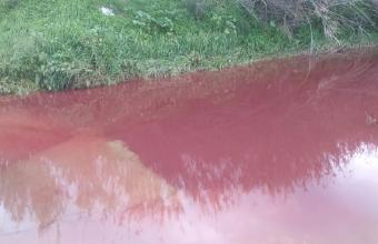 Κρήτη: Το ποτάμι στις Μοίρες βάφτηκε κόκκινο- Τι λέει ο δήμαρχος 