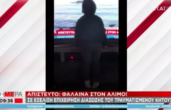 Υπέροχη εικόνα: Πιτσιρικάς φιλάει την τηλεόραση που δείχνει τη φάλαινα στον Άλιμο-Δείτε φωτό
