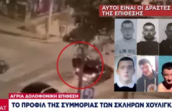 Δολοφονία 19χρονου Άλκη: Το προφίλ των δραστών