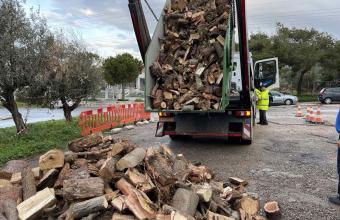 Μάζεψαν τα σπασμένα δέντρα από την κακοκαιρία στη Γλυφάδα-Τα δίνουν στους δημότες   