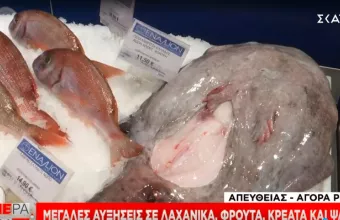 Ρέντης: Μεγάλες αυξήσεις στο μοσχάρι και σε φρούτα – Ενδεικτικές τιμές στα ψάρια