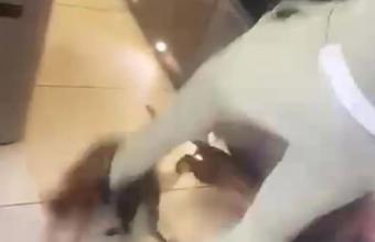 Βίντεο-σοκ με τον παίκτη της Γουέστ Χαμ, Κερτ Ζουμά, να κλωτσάει και να χτυπά την γάτα του