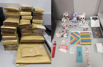Διακινούσαν ναρκωτικά μέσα σε λούτρινα κουκλάκια - Δείτε φωτογραφίες