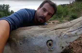 ΗΠΑ: Ψάρευε και του ήρθε ένα γιγάντιο ψάρι-αλιγάτορας στο καλάμι- Δείτε βίντεο