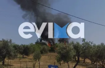 Υπό έλεγχο η φωτιά στην Εύβοια