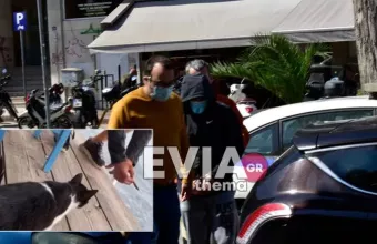 Στα δικαστήρια Χαλκίδας ο 30χρονος που κλώτσησε το γατάκι σε ταβέρνα
