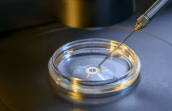 Η Βουλγαρία πιθανόν να επιτρέψει την εξωσωματική γονιμοποίηση με DNA από αποβιώσαντες συζύγους