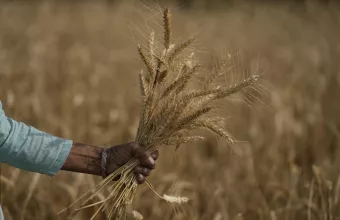 Ινδία: Ο πιο θερμός Απρίλιος των τελευταίων 122 ετών 
