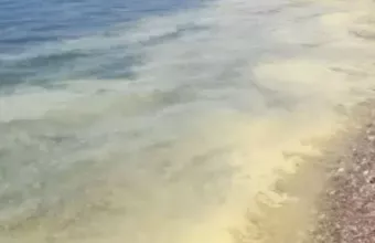 Κιτρίνισε η θάλασσα στην Πάτρα: Ανησύχησαν οι πολίτες – Πού οφείλεται το φαινόμενο