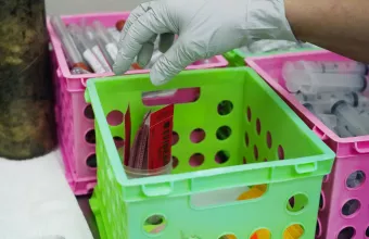 Ευλογιά των πιθήκων: Στα 84 τα κρούσματα στην Ισπανία - Άλλες 73 ύποπτες περιπτώσεις
